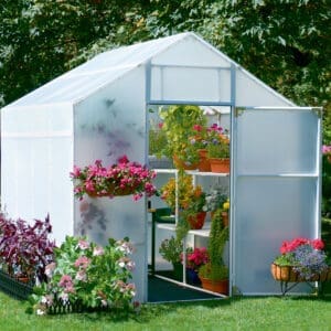 A greenhouse with many plants in it